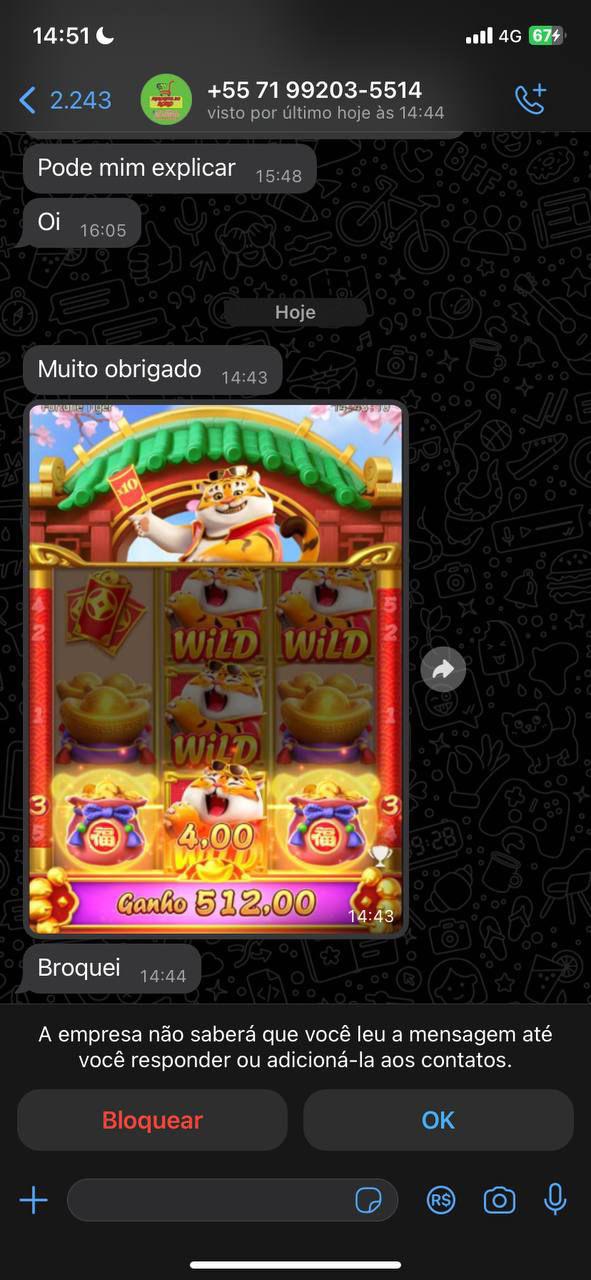 Imagem do WhatsApp de 2024-10-17 à(s) 03.32.26_dffa008d